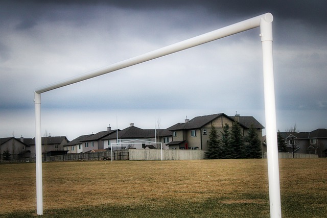 这不仅需要 这不仅需要