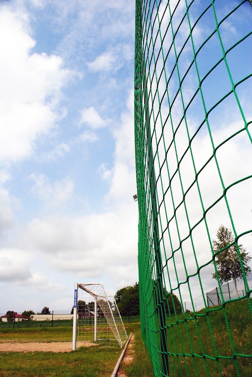 才的高质量 才的高质量