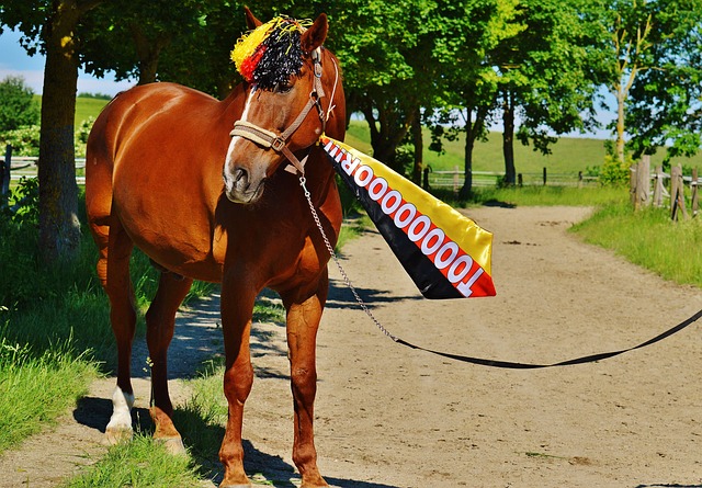 女篮防线 女篮防线