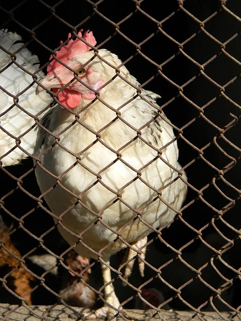 中实现全面 中实现全面