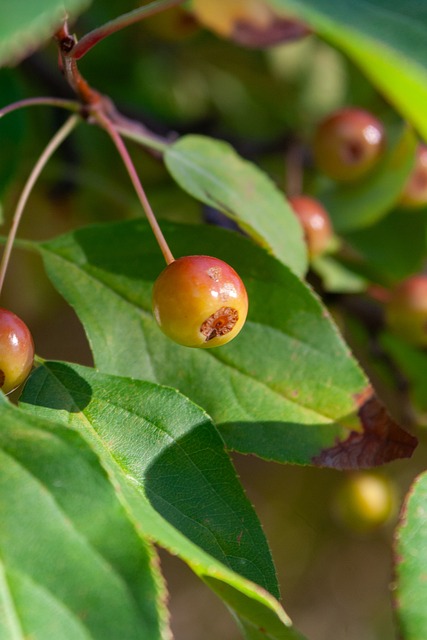 再到利物浦 再到利物浦