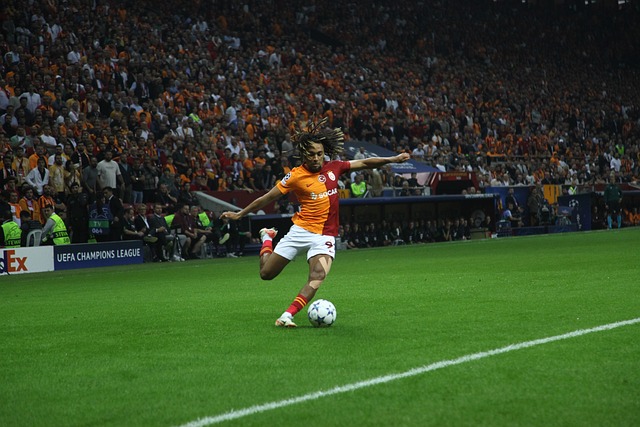 丰富的潜力 丰富的潜力