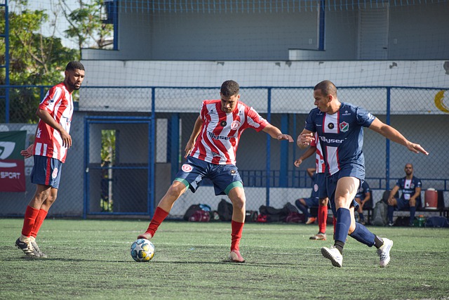 成为了探索 成为了探索