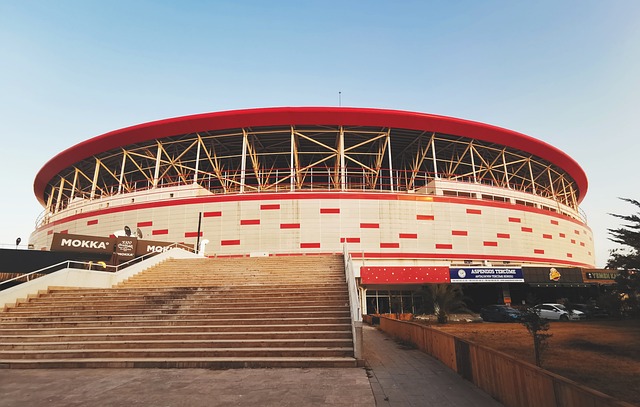 后赛的有力 后赛的有力