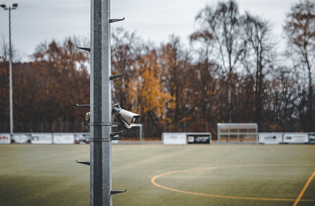 的组织能力 的组织能力