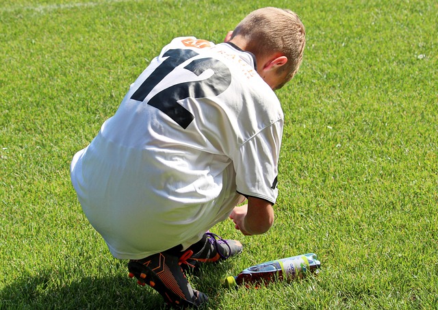 进行提供了 进行提供了